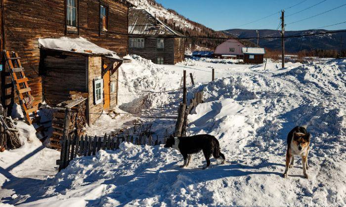 Интересное. Как живет поселок Приисковое сегодня (25 фото)